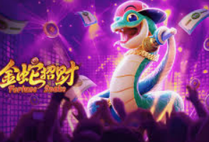 星空综合app最新版