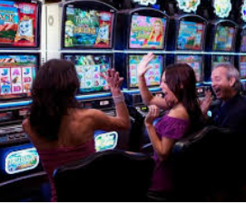 星空综合app正式版