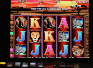 星空综合app手机版