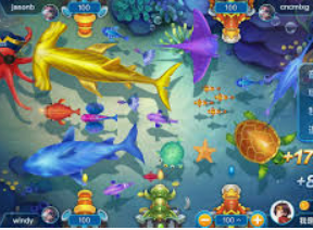 星空综合app客户端