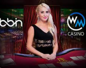 星空综合app电脑免费版