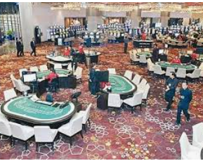 星空综合app电脑免费版